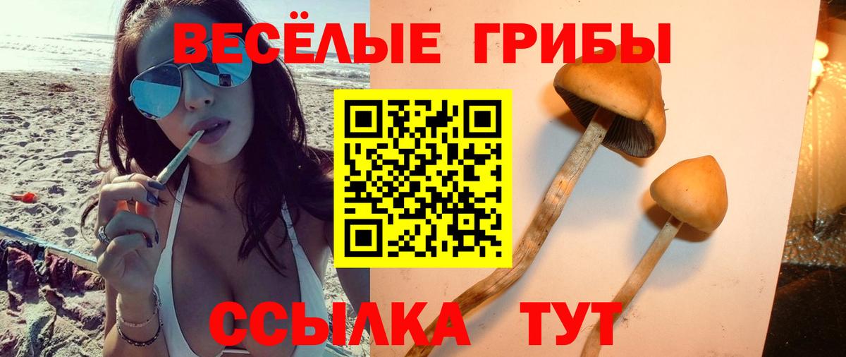 Псилоцибиновые грибы прущие грибы  Галлюциногенные грибы прущие грибы  Сыктывкар  Вход с VPN 