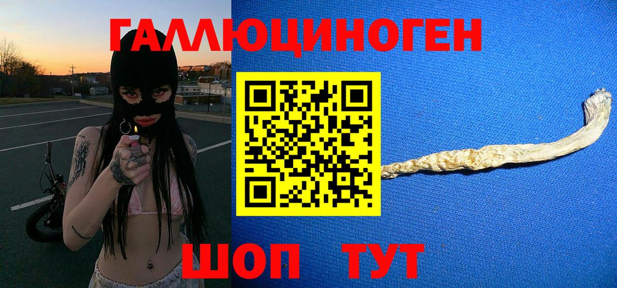 Галлюциногенные грибы мухоморы Сыктывкар